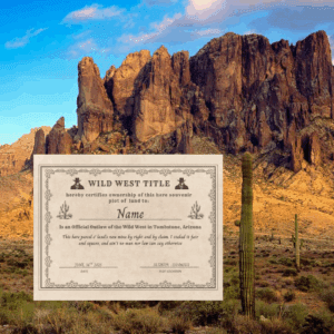 1 Square Foot Plot of Tombstone Land - Claim Your Title!
